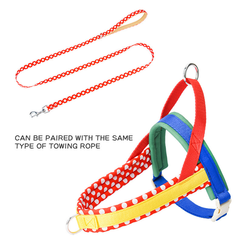 Pet Collar Factory - Microfiber Leather Adjustable Anti-Lost