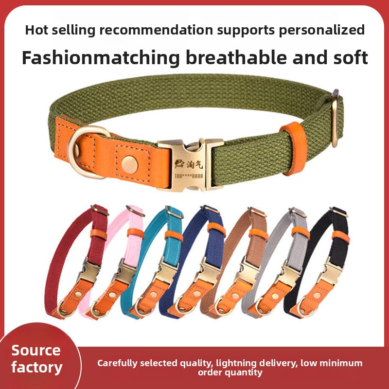 Pet Leash Manufacturer - Fashionable Polyester Harness Ribbon