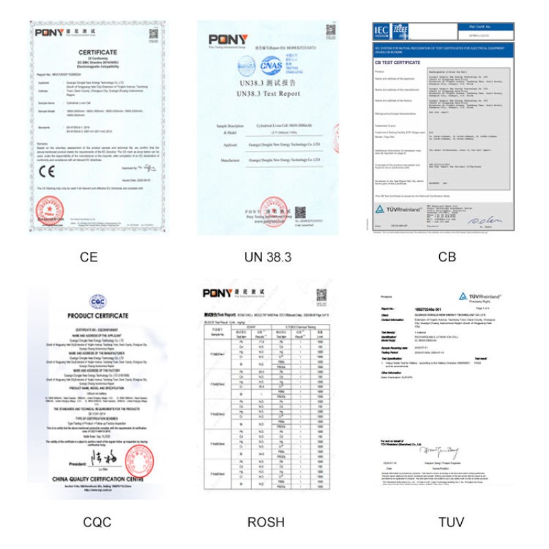 Cat Training Toy Supplier - Automatic Hunting Feather Tear