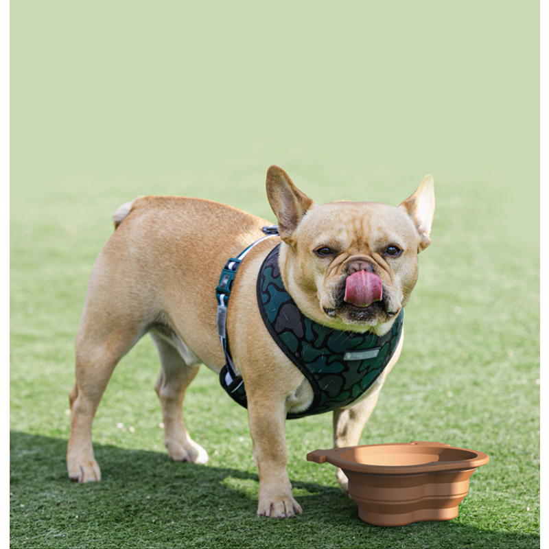 Pet Tray Supplier - Extra Large Stainless Steel Bowl