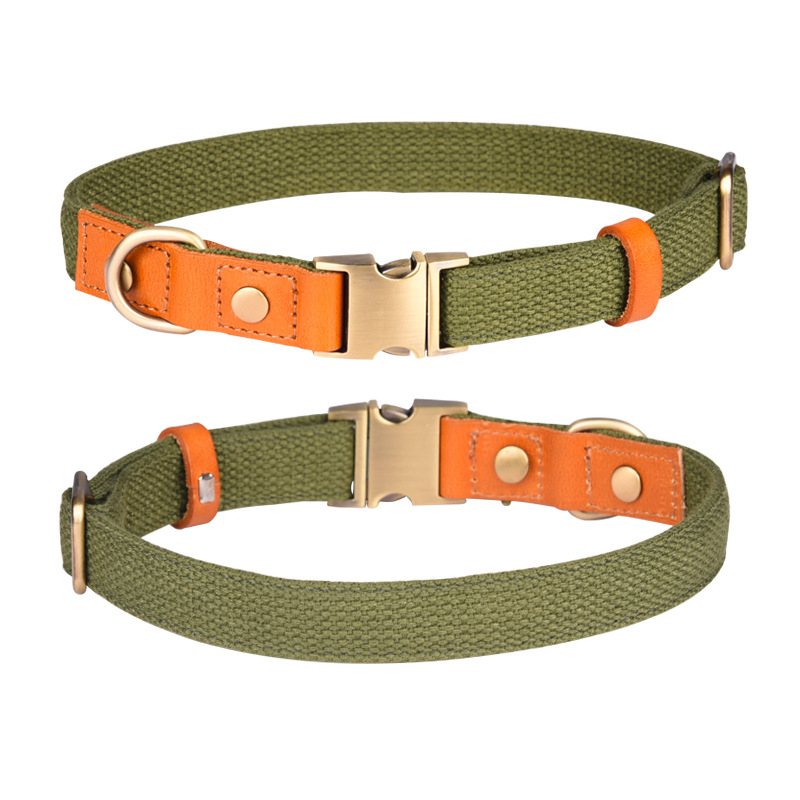 Pet Leash Manufacturer - Fashionable Polyester Harness Ribbon