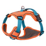 Pet harness & leash & collar