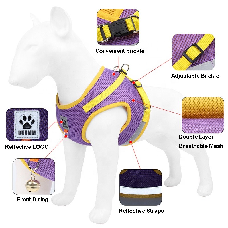 Pet Safety Set Supplier - Reflective Chest Strap Training