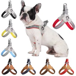 Pet GPS Collar Supplier - Leather Waterproof Tactical Outdoor