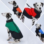 Pet Apparel & Accessories