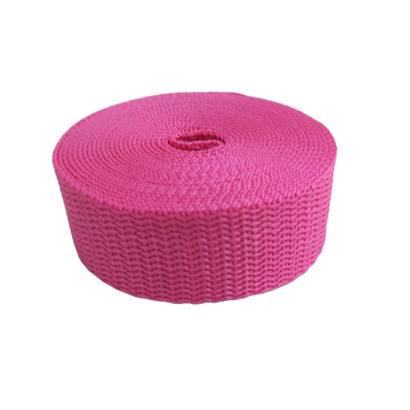 Polyester Webbing Supplier - Backpack Cargo Tape Pet Leash