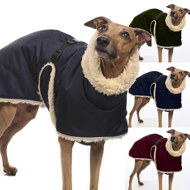 Winter Dog Coat Supplier - Autumn Windproof Cute Printed Thickened