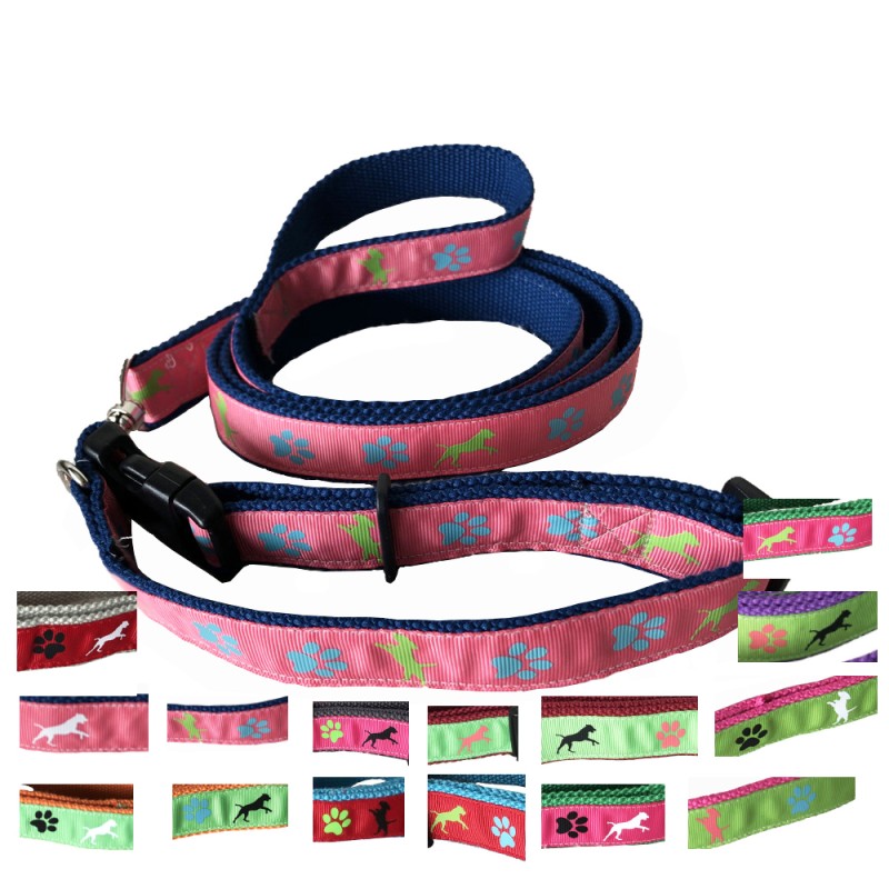Dog Leash Manufacturer - Stable PP Webbing Collar for Pet
