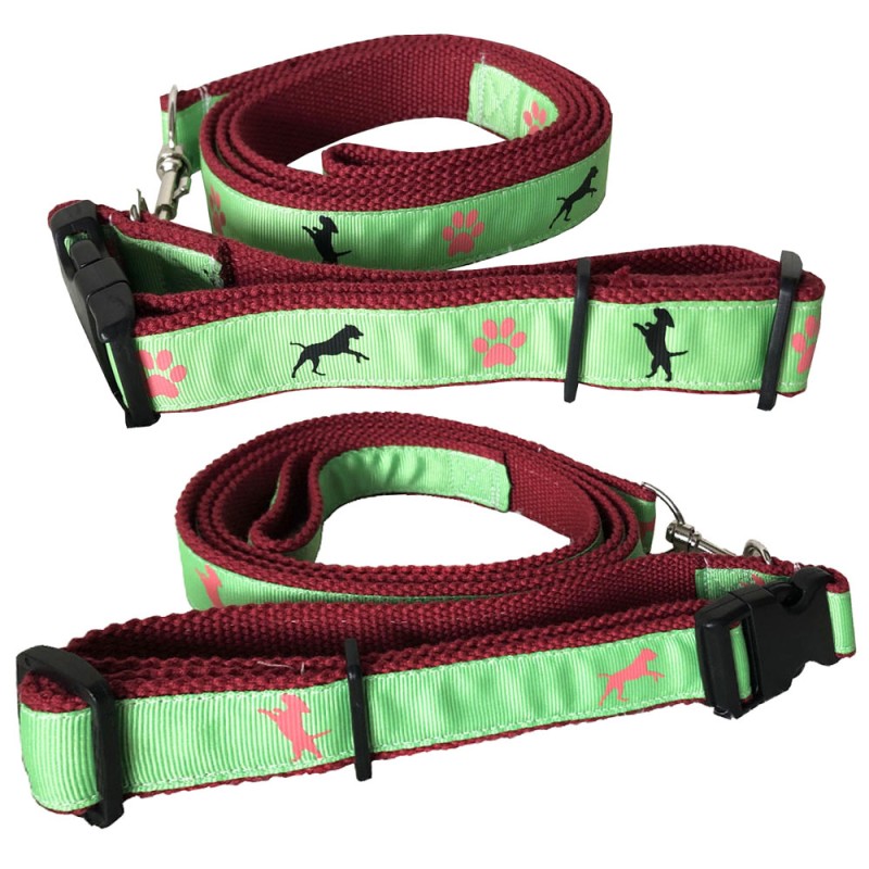 Dog Leash Manufacturer - Stable PP Webbing Collar for Pet