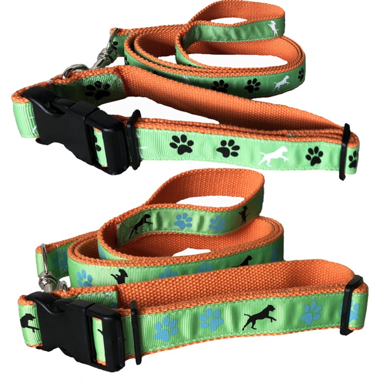 Dog Leash Manufacturer - Stable PP Webbing Collar for Pet