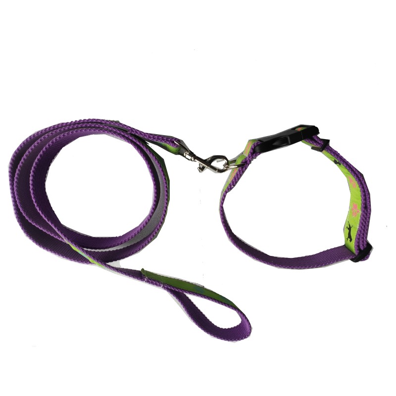 Dog Leash Manufacturer - Stable PP Webbing Collar for Pet
