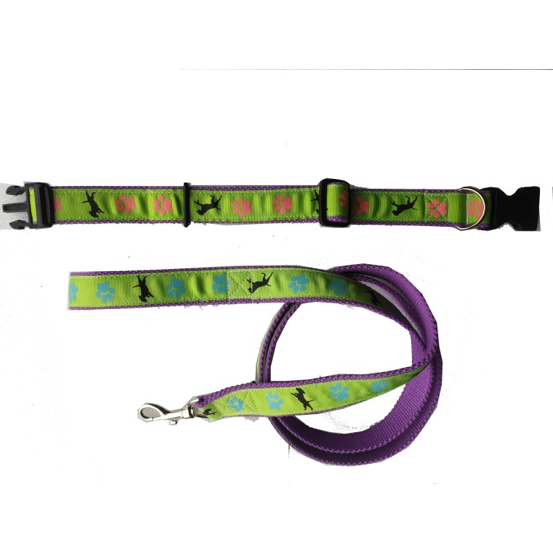 Dog Leash Manufacturer - Stable PP Webbing Collar for Pet