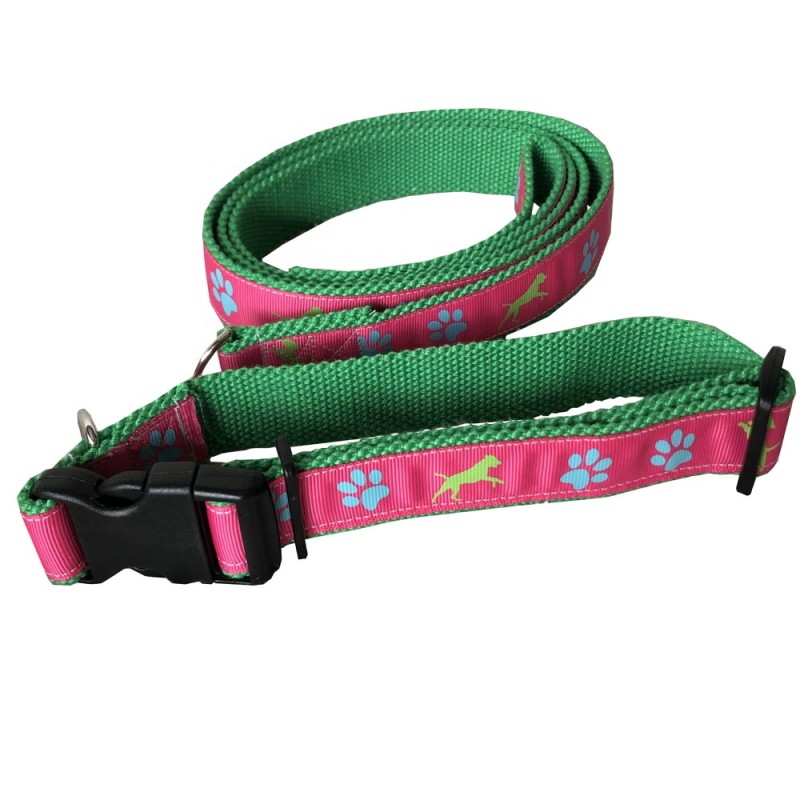 Pet Collar Set Supplier - Personalized Cute Dogs Puppy
