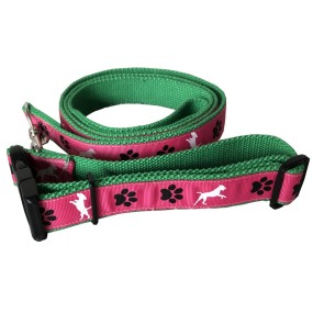 Pet Collar Set Supplier - Personalized Cute Dogs Puppy