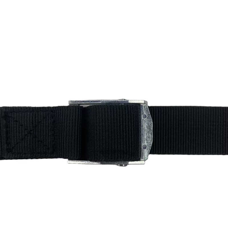 Tie Down Strap Manufacturer - 1 Inch Polyester with PP Cam Buckle