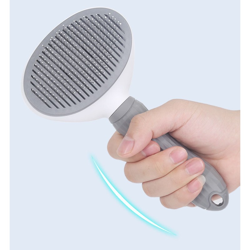 Bento Box Supplier - 3 Compartment Kids Lunch with Cutlery