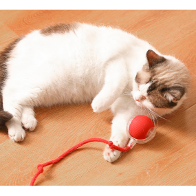 Cat Toy Ball Supplier - Automatic Jumping Moving Self-Play