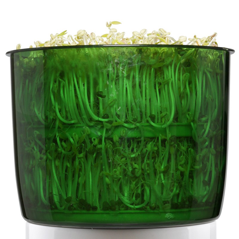 Wicker Basket Supplier - Handmade Storage with Lid Picnic