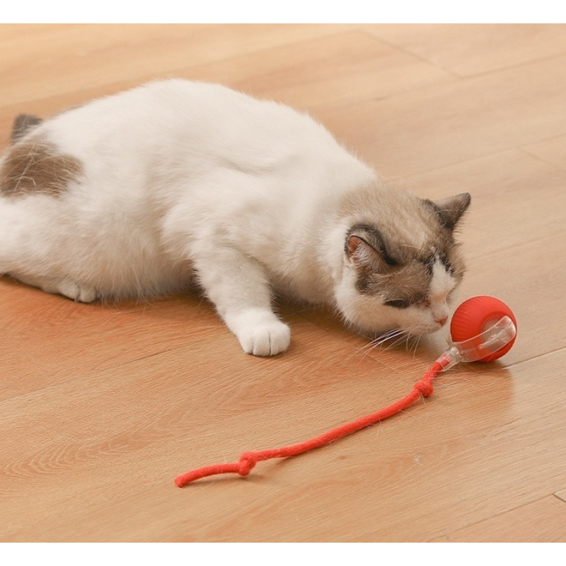 Cat Toy Ball Supplier - Automatic Jumping Moving Self-Play
