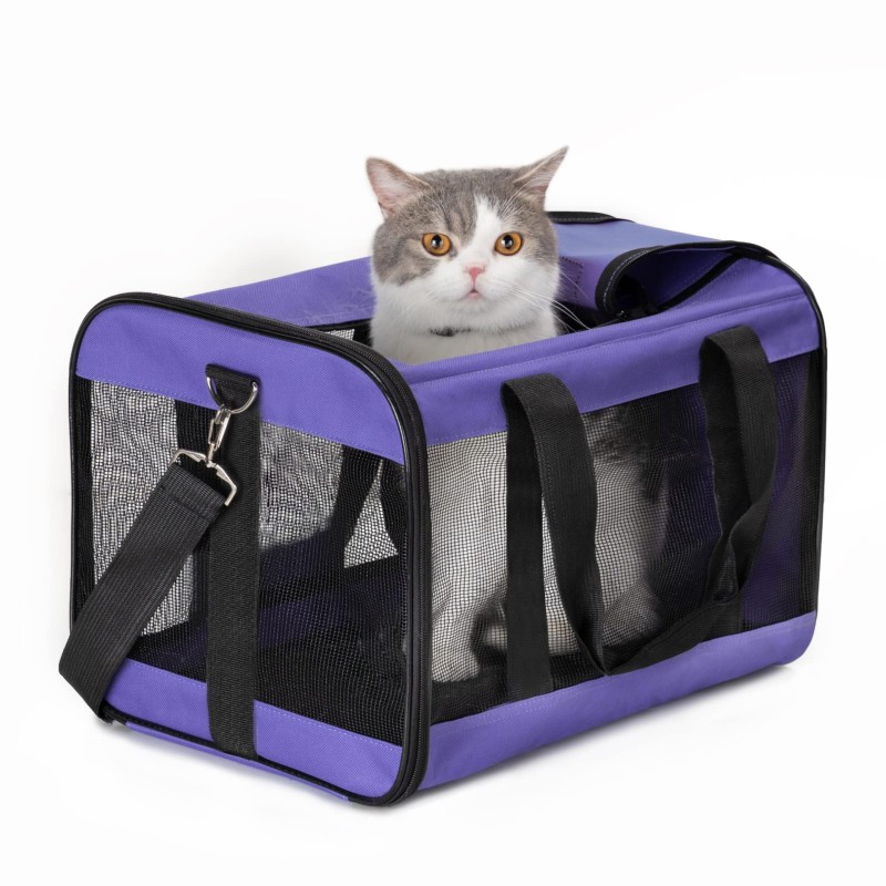 Pet Travel Bag Manufacturer - Transparent Breathable Mesh Carrier