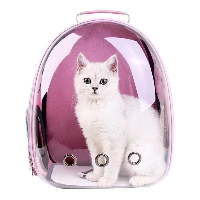 Cat Backpack Supplier - Collapsible Transparent Ventilate Carrier