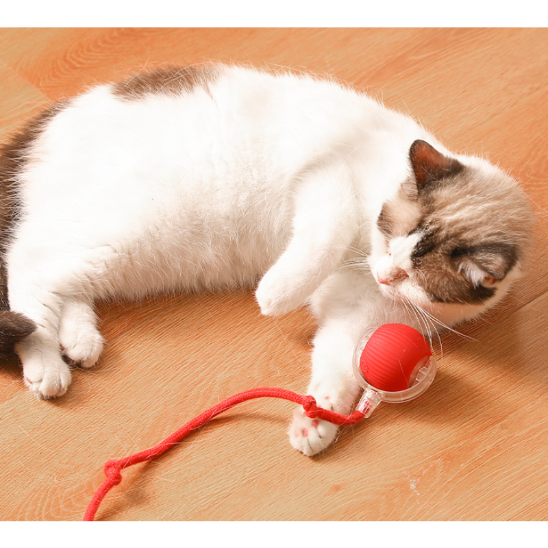Cat Toy Ball Supplier - Automatic Jumping Moving Self-Play