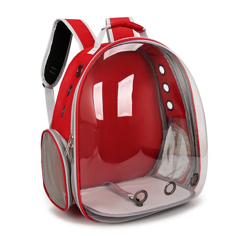 Cat Backpack Supplier - Collapsible Transparent Ventilate Carrier