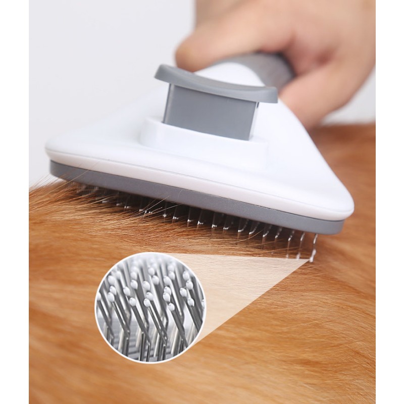 Bento Box Supplier - 3 Compartment Kids Lunch with Cutlery