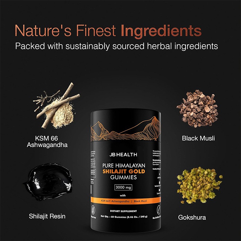 Shilajit Gummies Manufacturer - Nourishing Food Beverage Convenient Gummy