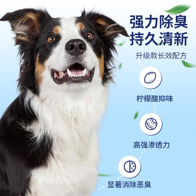 Probiotic Mouthwash for Pets Factory - Eco-Friendly Teeth Cleaning Breath Removal