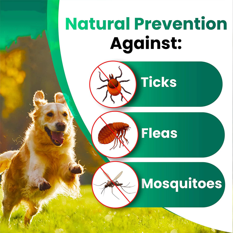 Anti-Flea Tick Tablets Supplier - Chewable Immunity Skin Health for Dogs