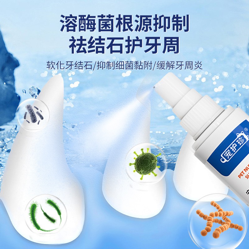 Probiotic Mouthwash for Pets Factory - Eco-Friendly Teeth Cleaning Breath Removal