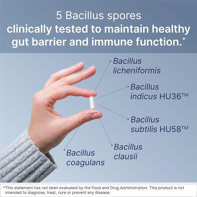 Probiotic Capsule Manufacturer - Food Grade Herbal Extract Supplement Bottle