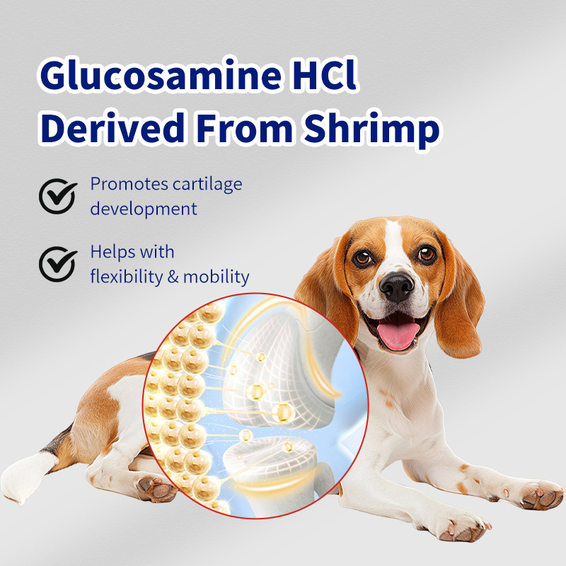 Dog Hip Joint Chew Granules Supplier - Glucosamine Chondroitin Bone Health