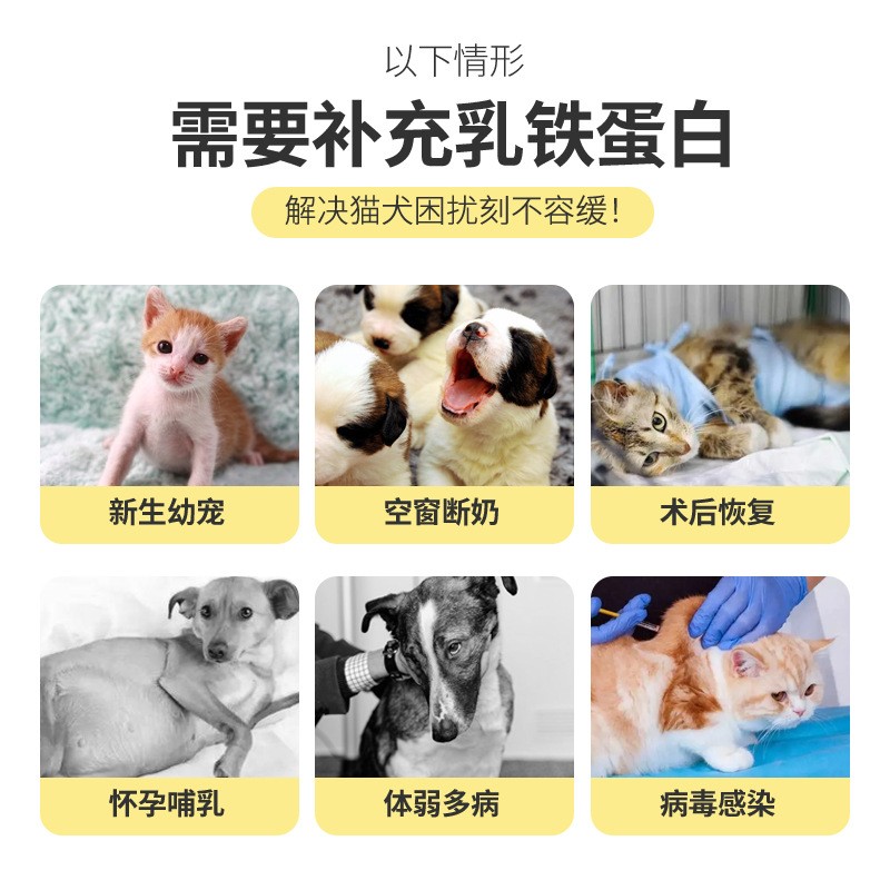 Immunity Boosting Pet Supplement Factory - Lactoferrin Universal for Cats Dogs