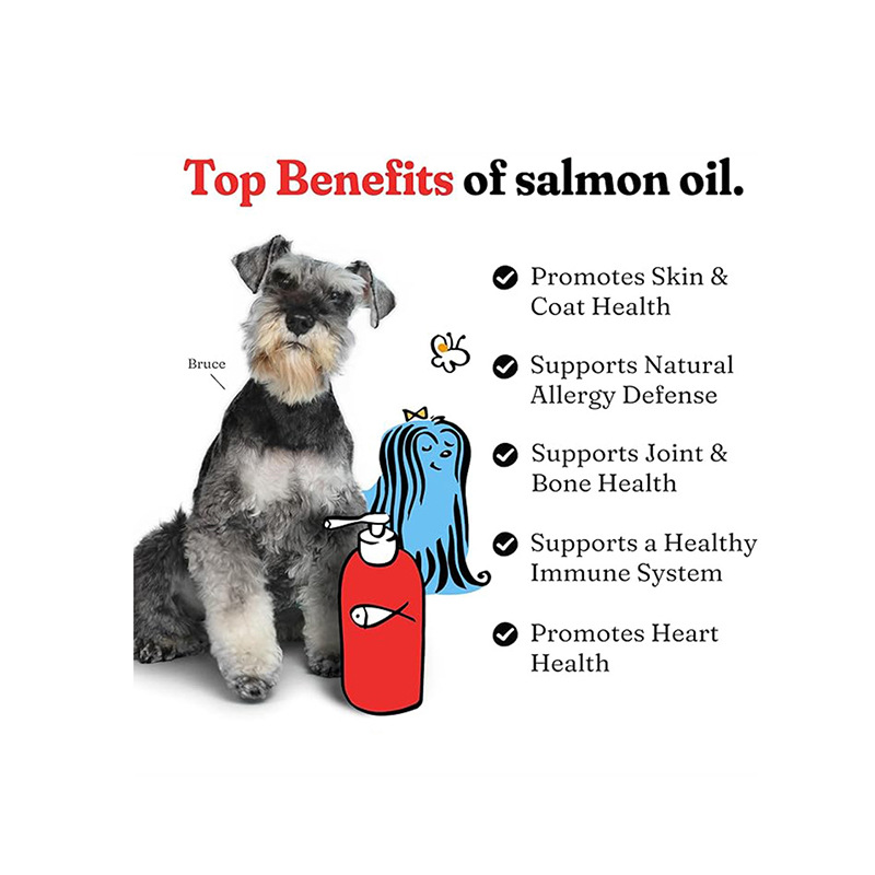 Pet Fish Oil Supplement Manufacturer - Salmon Oil Liquid Health Care Cross-Border