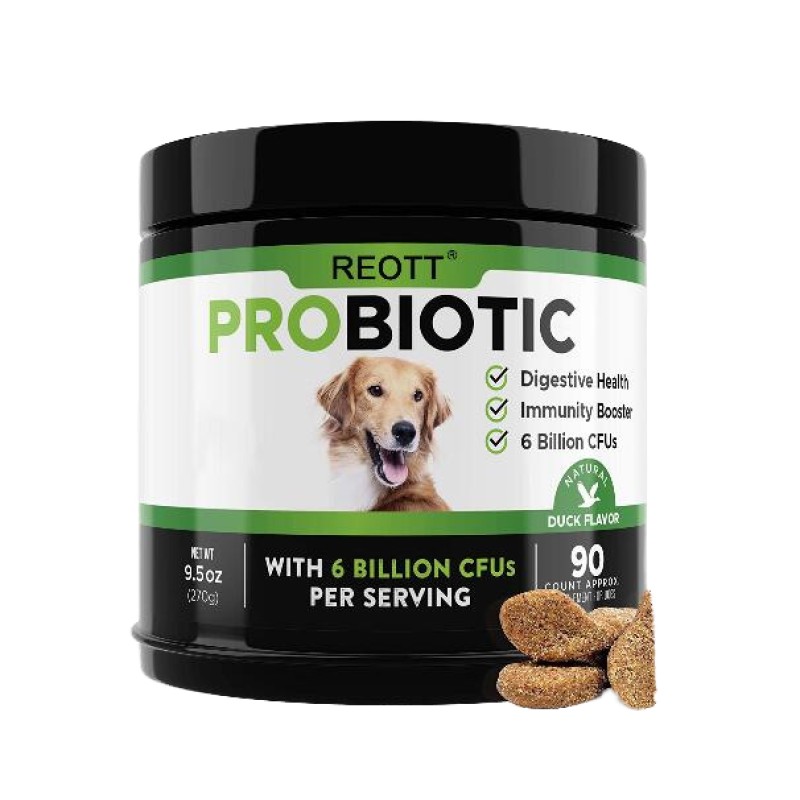 Multivitamin Soft Chew Dog Supplement Factory - 11-in-1 Hip Joint Skin Health