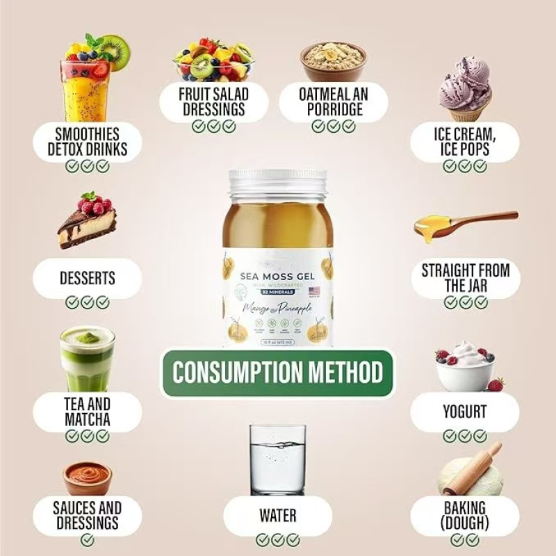 Sea Moss Gel Algae Paste Manufacturer - Food Grade Custom Processing Plant Extract