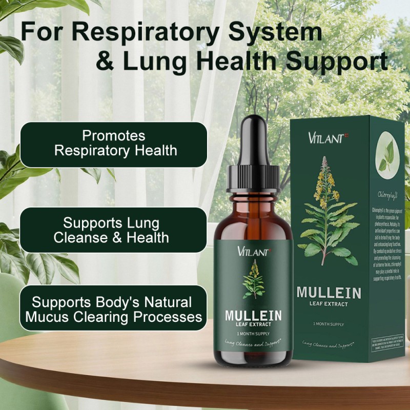 Adult Lung Support Supplement Factory - Mullein Tea Chlorophyll Liquid Oil