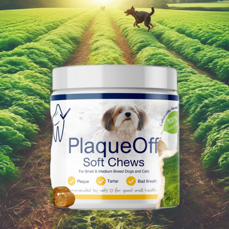 Pet Dental Soft Chews Manufacturer - OEM Custom Logo Oral Care Plaque Removal