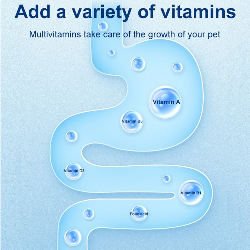 Pet Multivitamin Chew Granules Factory - Lecithin Soft Chewable Health Care