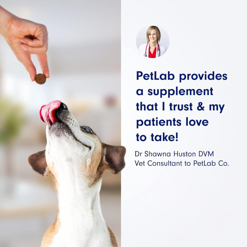 Dog Chewable Probiotics Tablets Factory - Sour Taste Meat Snack Cross-Border