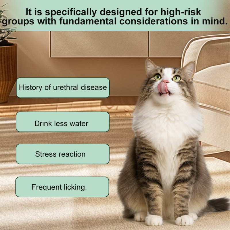 Pet Urinary Care Paste Manufacturer - Modern Premium Nutritional Supplement for Cats Dogs