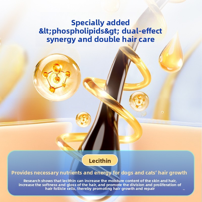 High Purity Fish Oil Supplement Manufacturer - Anchovy Lecithin for Adult Pets