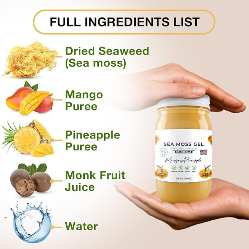 Sea Moss Gel Algae Paste Manufacturer - Food Grade Custom Processing Plant Extract