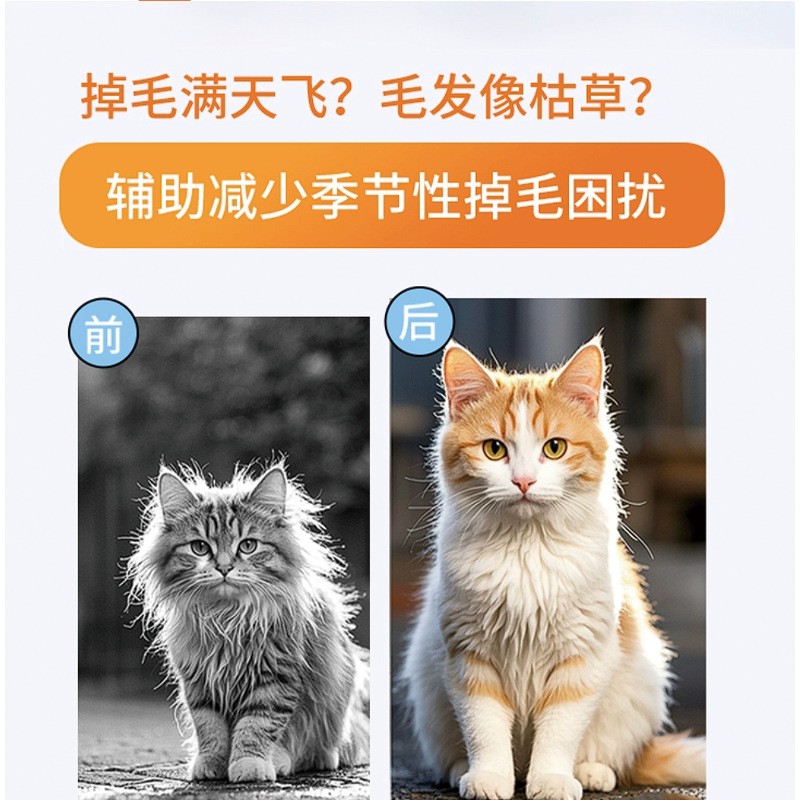 D-Biotin Oral Liquid Supplier - Fish Oil Anti-Hair Loss for Adult Cats Dogs