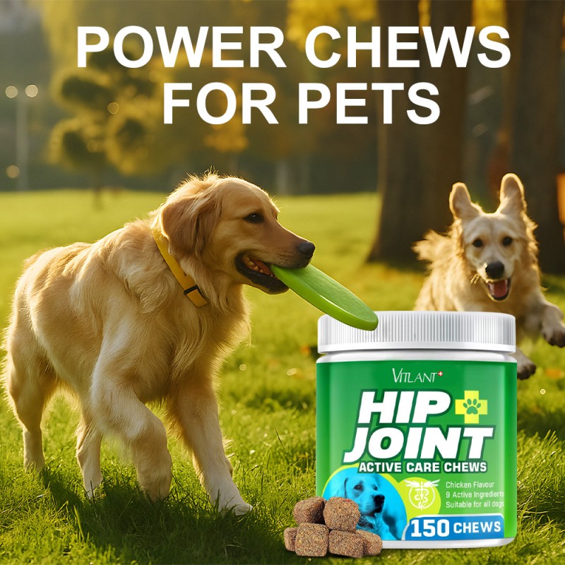 High Protein Dog Supplement Factory - Muscle Gain Power Chews with Amino Acids