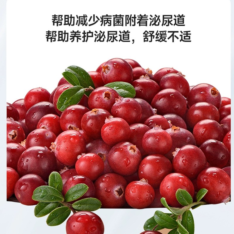 Urinary Cranberry Capsules Factory - Diuretic for Cats Dogs Powder Form