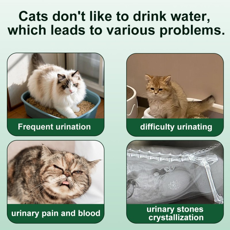 Pet Urinary Care Paste Manufacturer - Modern Premium Nutritional Supplement for Cats Dogs