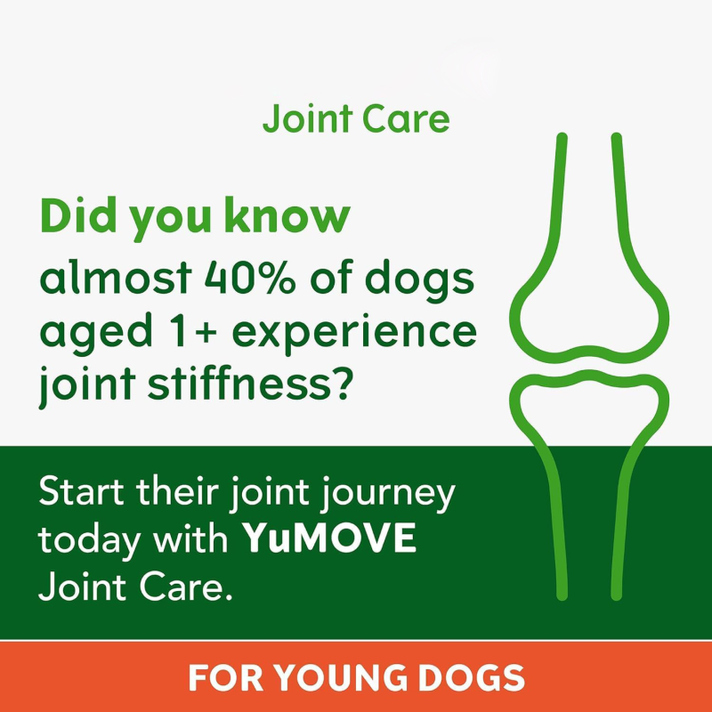 Glucosamine Health Tablets Factory - Wholesale Cross-Border Hip Joint Supplements